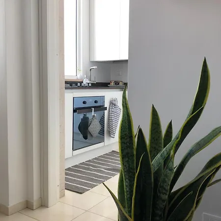 Apartament 999 *